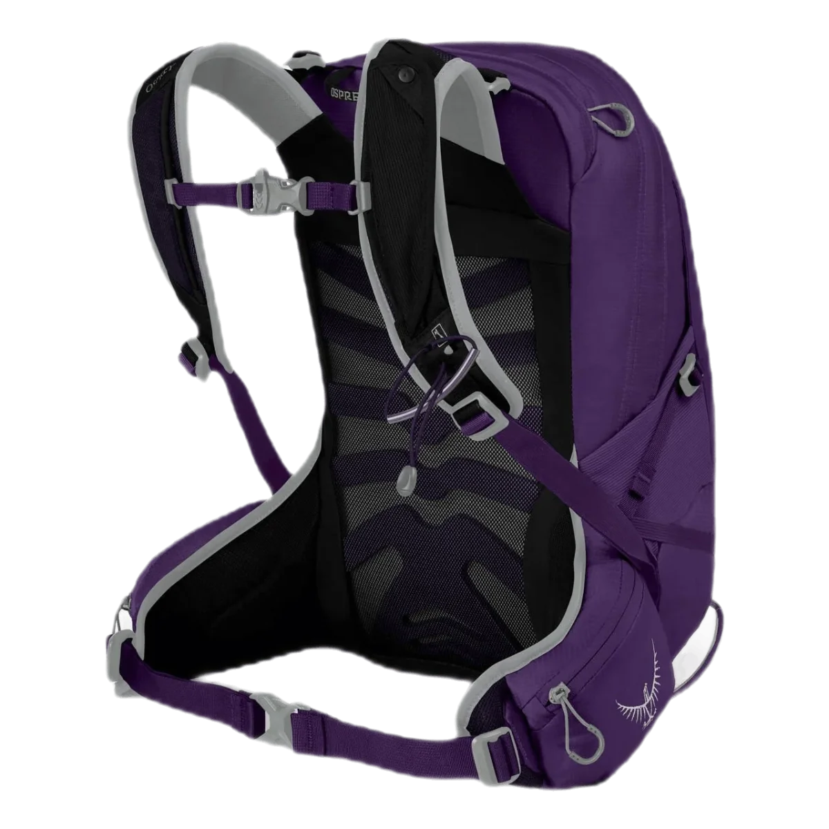 Tempest 9 Purple - Image 3