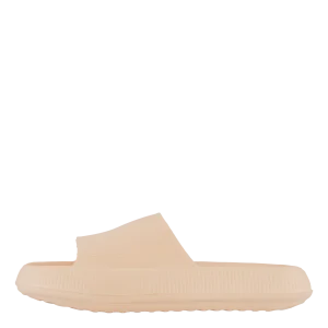 Chunky Slipper Coral